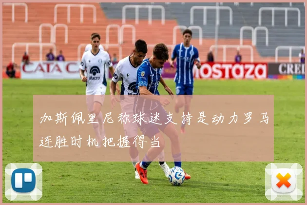 加斯佩里尼称球迷支持是动力罗马连胜时机把握得当
